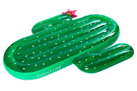 Inflatable Cactus | Lie-On Float