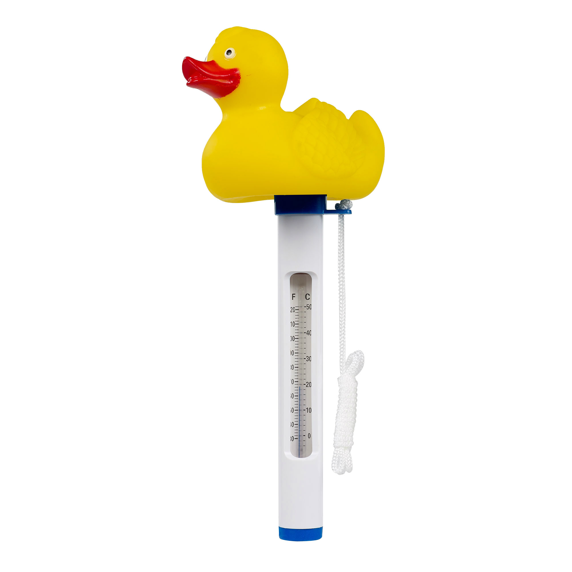 Thermometer Mega Pool eend afbeelding