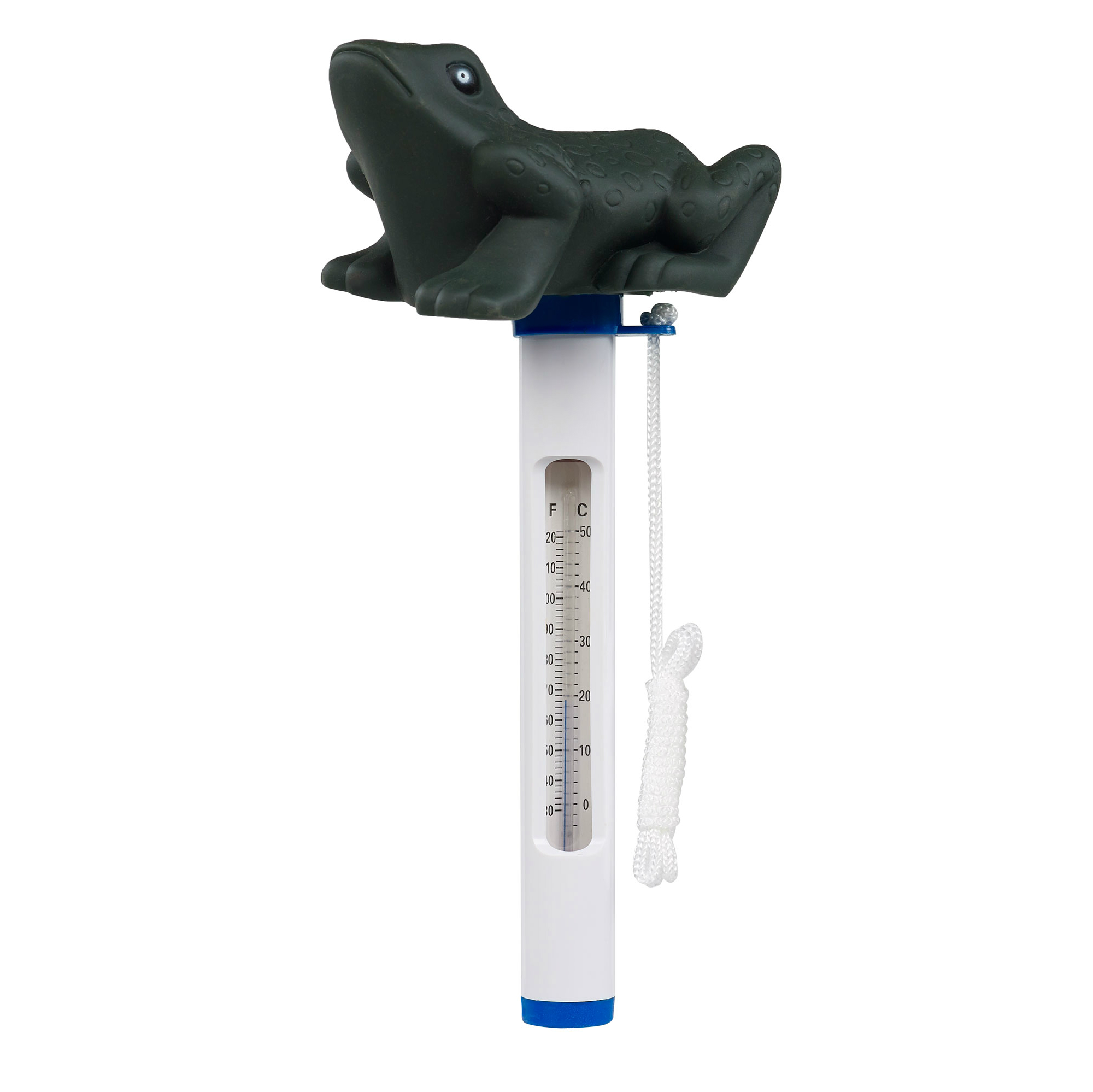 Thermometer Mega Pool kikker afbeelding