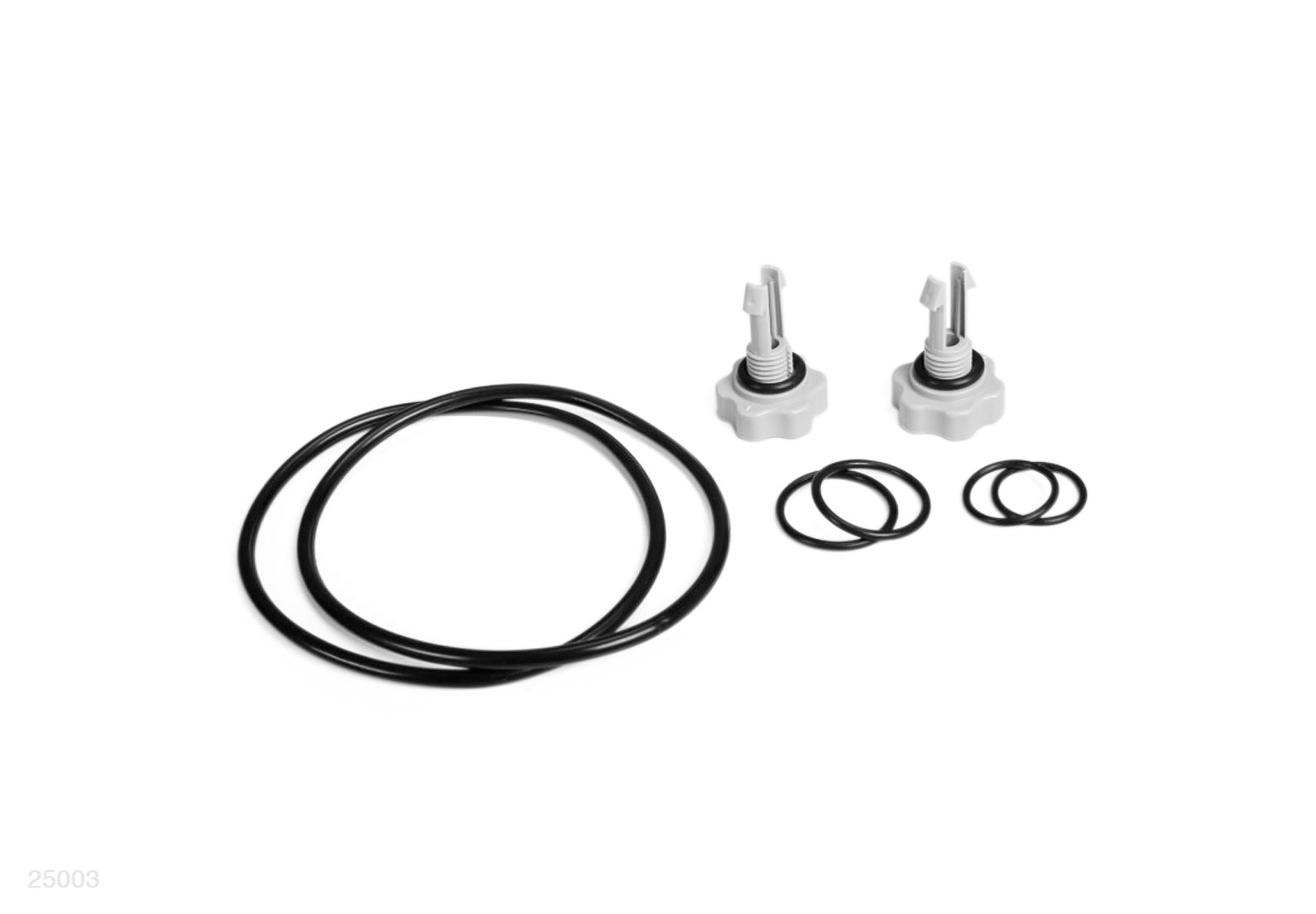 Intex set O-ringen voor filterpomp met filtercassette A afbeelding