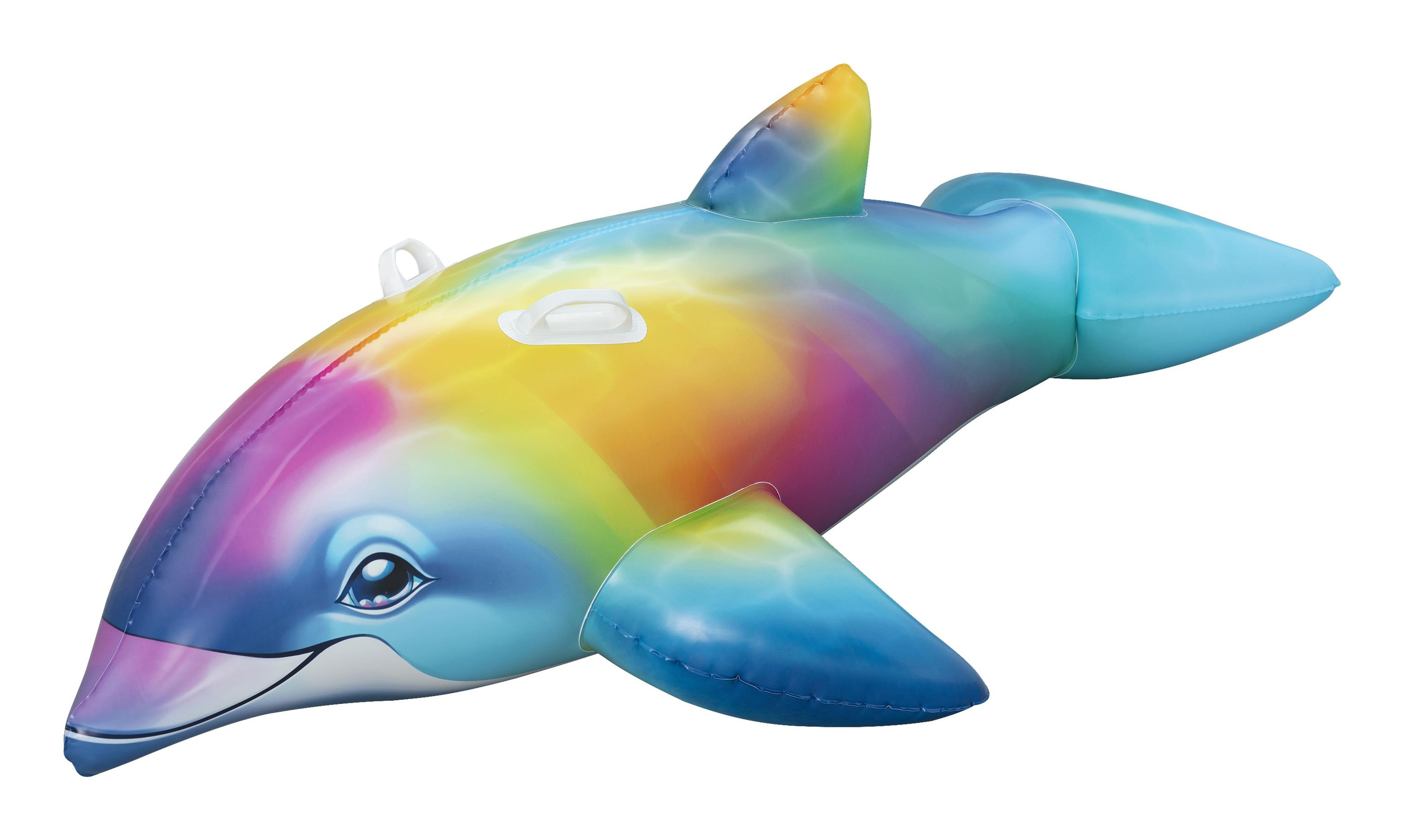 Dolphin Daydream Ride-On