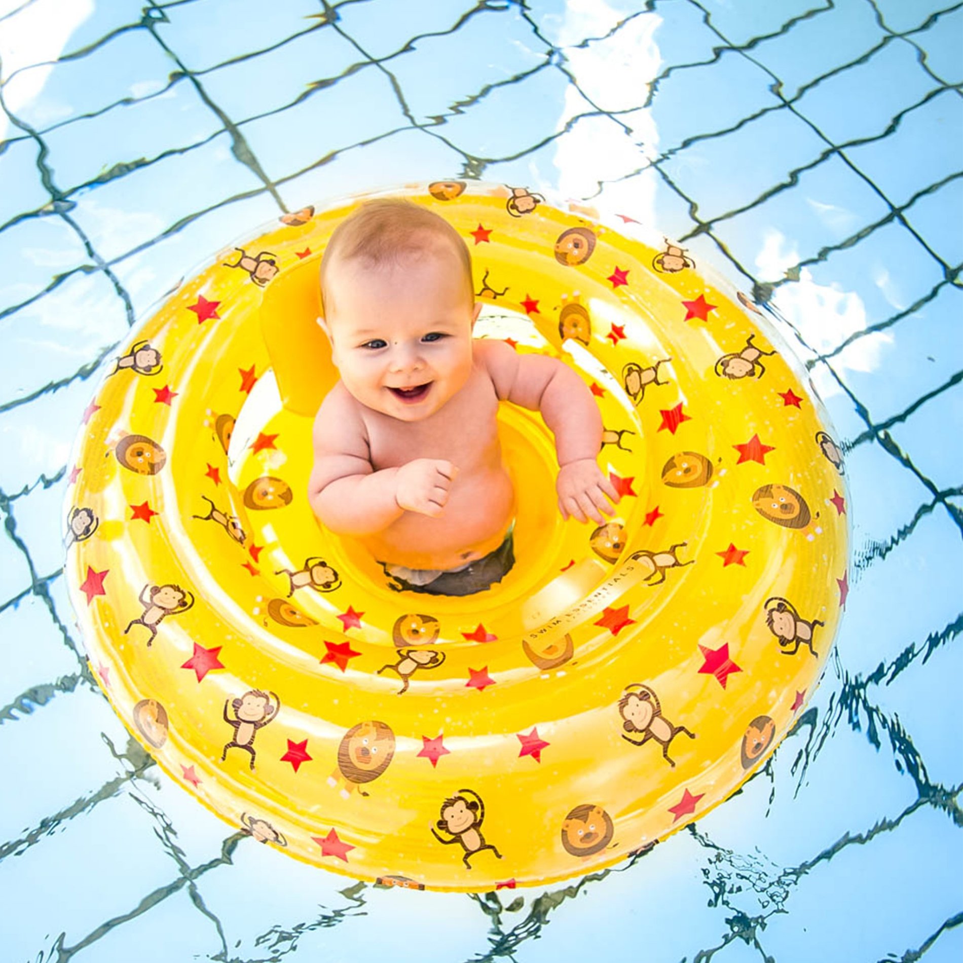 Dor Inloggegevens Reinig de vloer Baby zwemzitje circus | Zwembad.be
