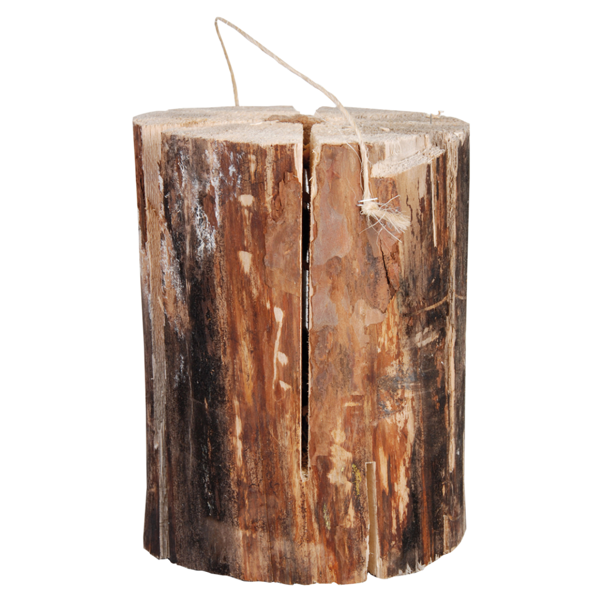 Zweedse fakkel stamboom - 1