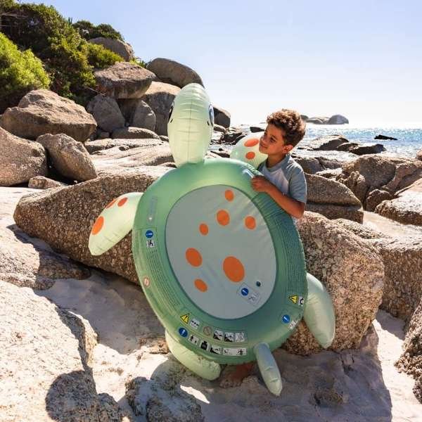 Turtle Ride-on