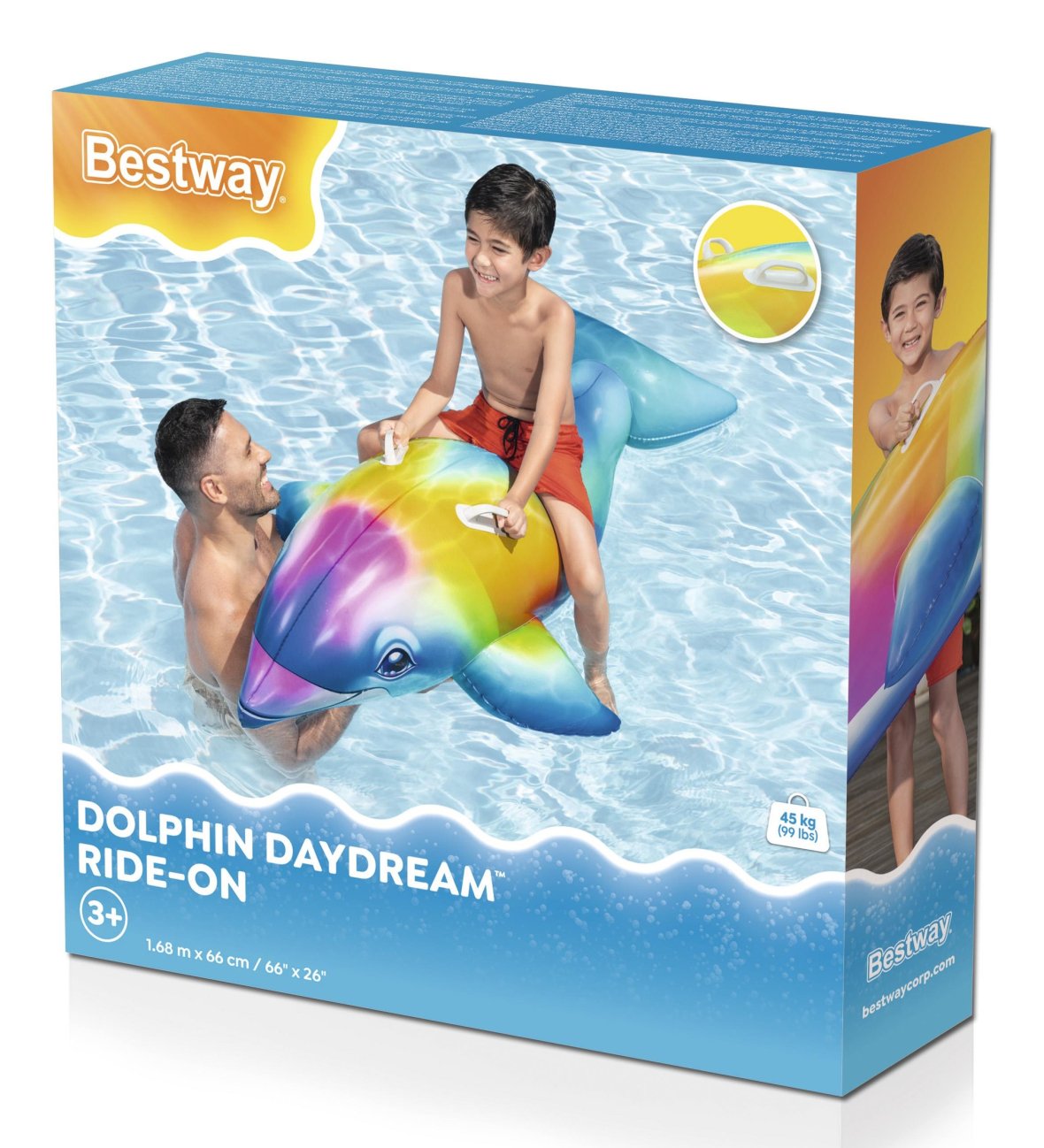 Dolphin daydream