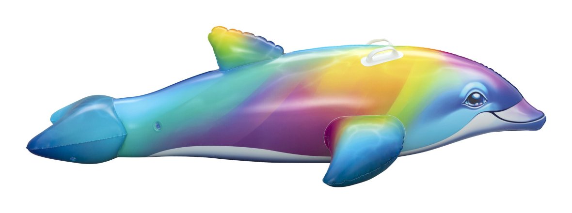 Dolphin daydream