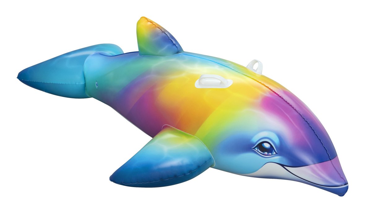Dolphin daydream