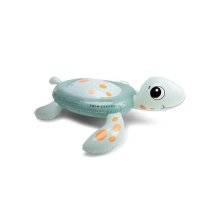 Turtle Ride-on
